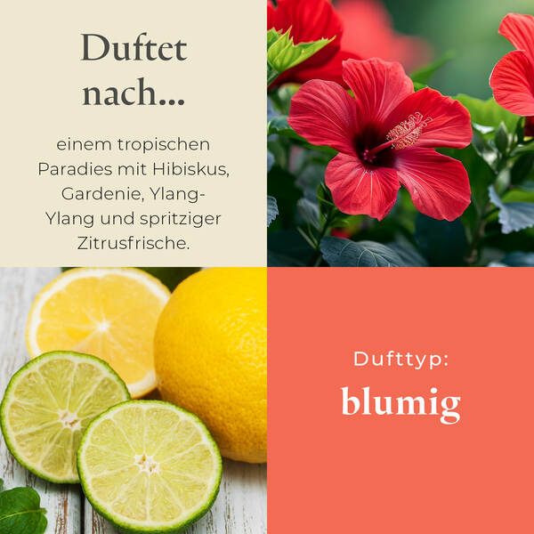 Pl az eu productimages v042153 beachsidetiara tealights ger 3