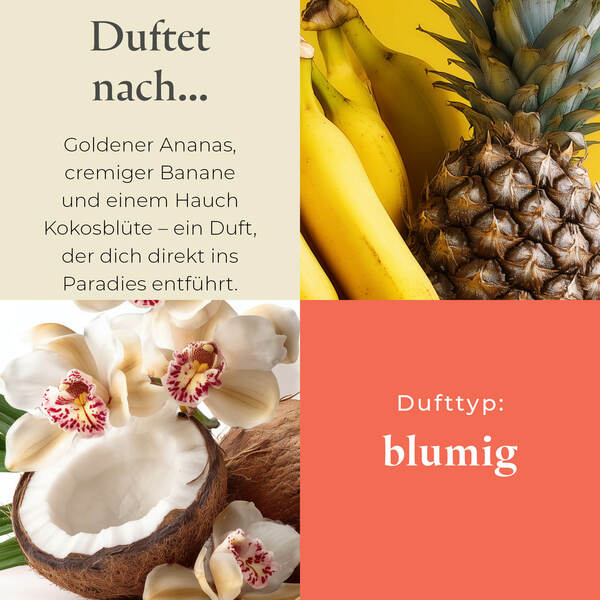 Pl az eu productimages v042154 sunorchid tealights ger 3