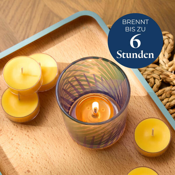 Pl az eu productimages v042154 sunorchid tealights ger 4