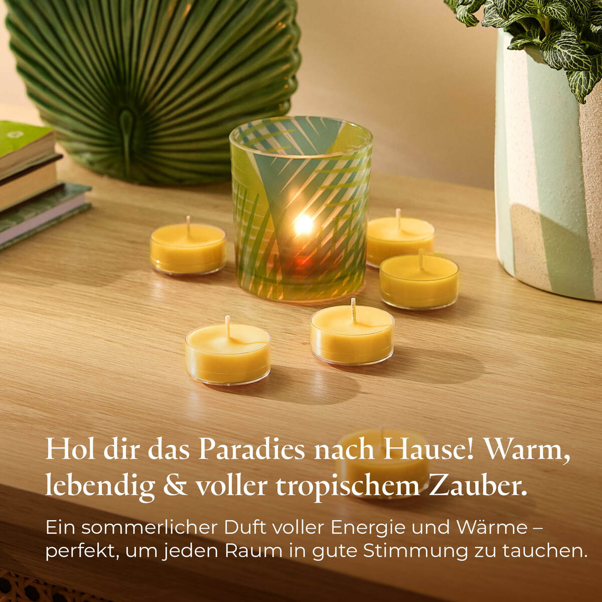 Pl az eu productimages v042154 sunorchid tealights ger 6