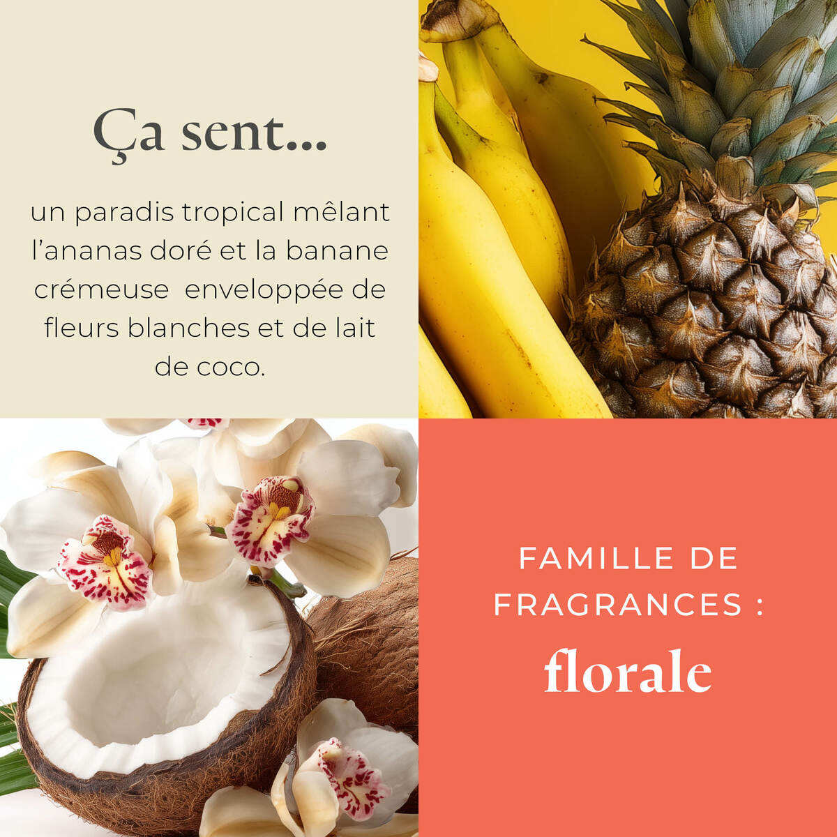 Pl az eu productimages v042154 sunorchid tealights fr 3