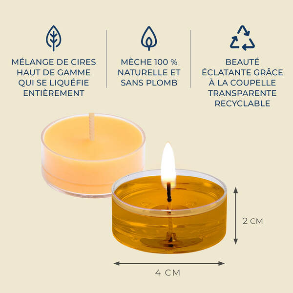 Pl az eu productimages v042154 sunorchid tealights fr 5