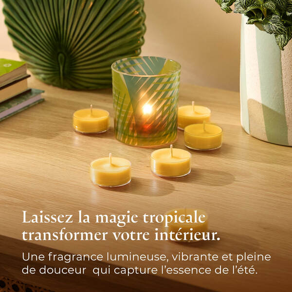 Pl az eu productimages v042154 sunorchid tealights fr 6