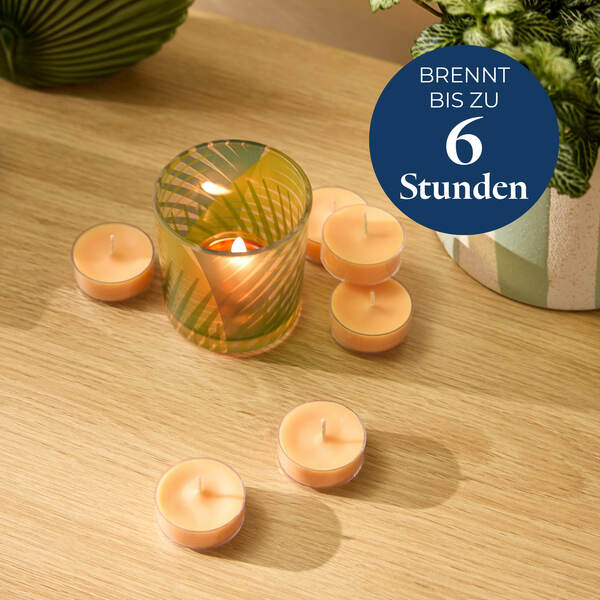 Pl az eu productimages v042155 grapefruitpeach tealights ger 4