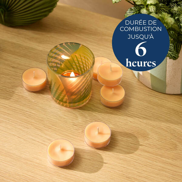 Pl az eu productimages v042155 grapefruitpeach tealights fr 4