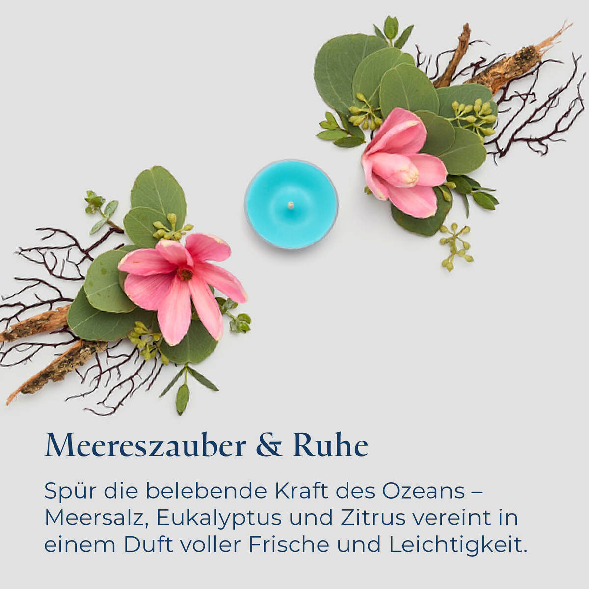 Pl az eu productimages v042158 saltyscape tealights ger 6