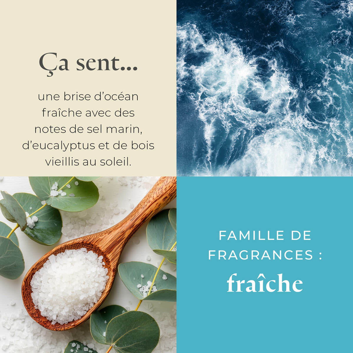 Pl az eu productimages v042158 saltyscape tealights fr 3