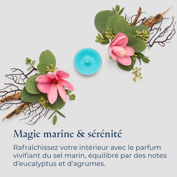 Pl az eu productimages v042158 saltyscape tealights fr 6