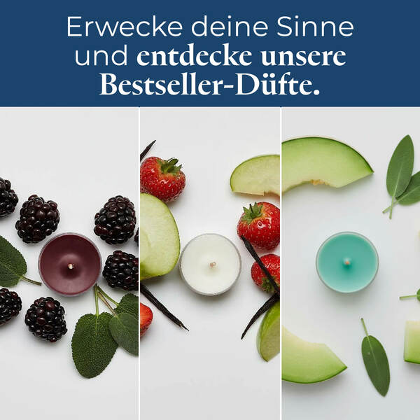 Pl az productimages tlsampler p84183 bestseller ger5