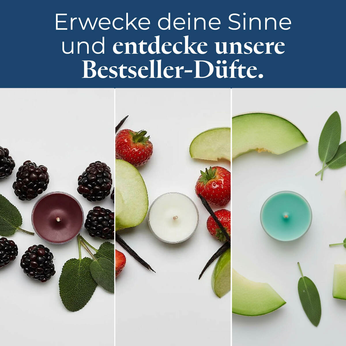 Pl az productimages tlsampler p84183 bestseller ger5