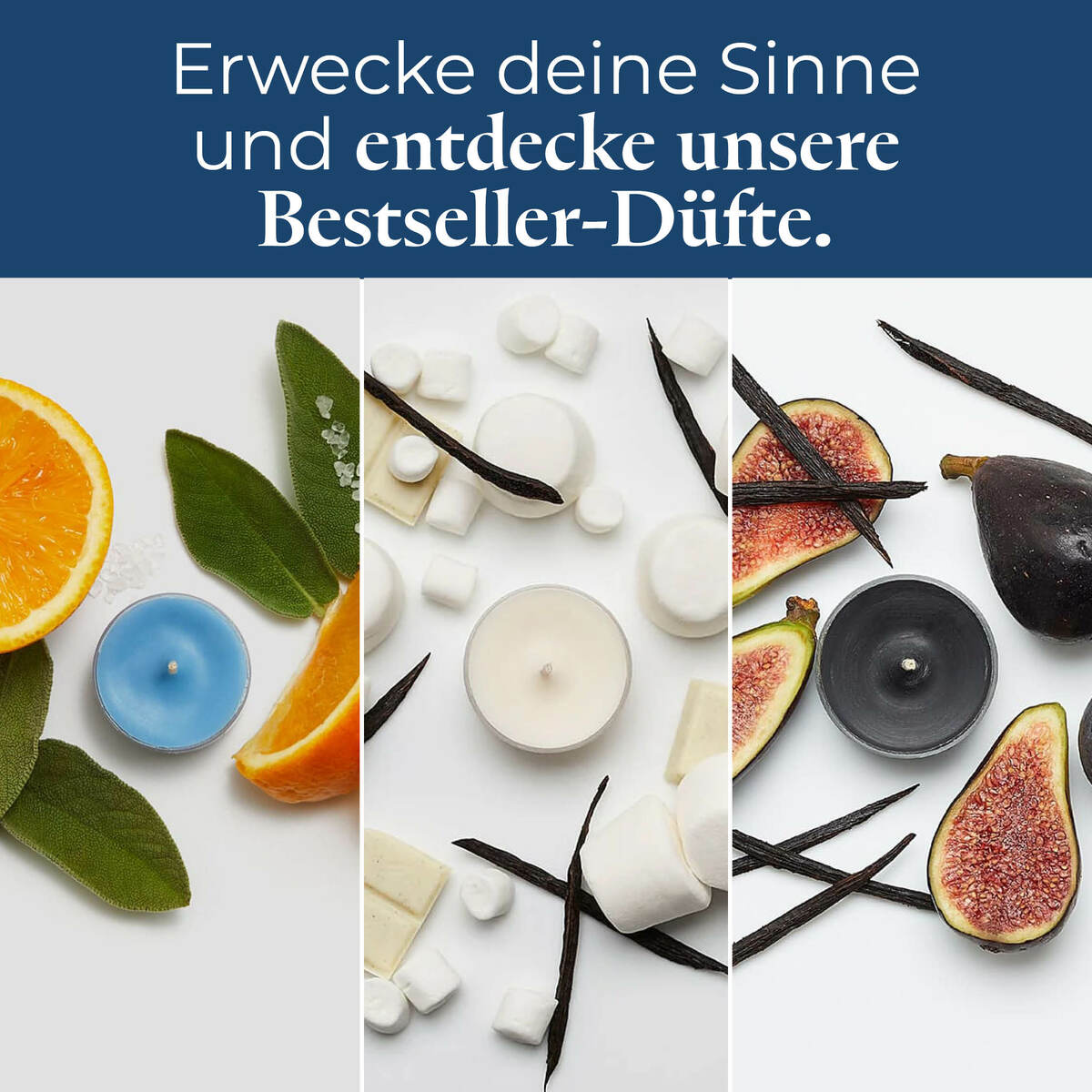 Pl az productimages tlsampler p84183 bestseller ger6