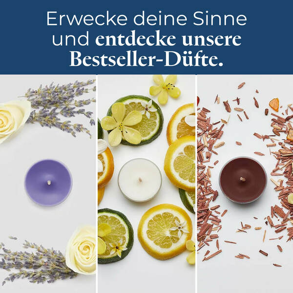 Pl az productimages tlsampler p84183 bestseller ger7