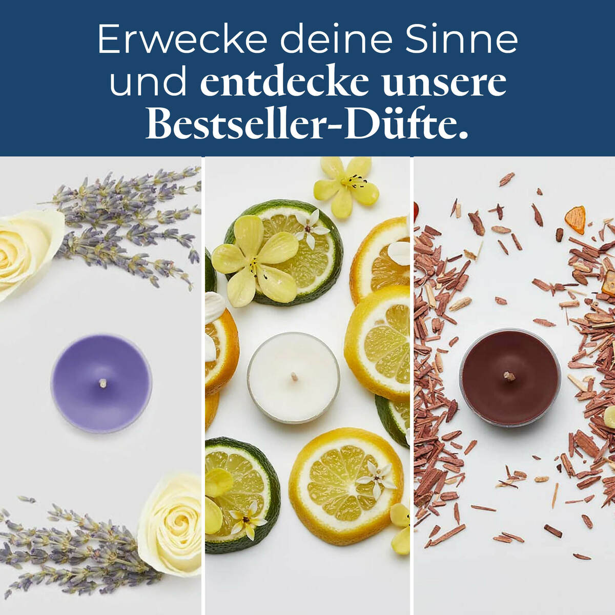 Pl az productimages tlsampler p84183 bestseller ger7