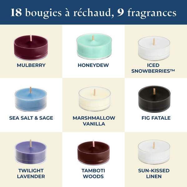 Pl az productimages tlsampler p84183 bestseller fr 2