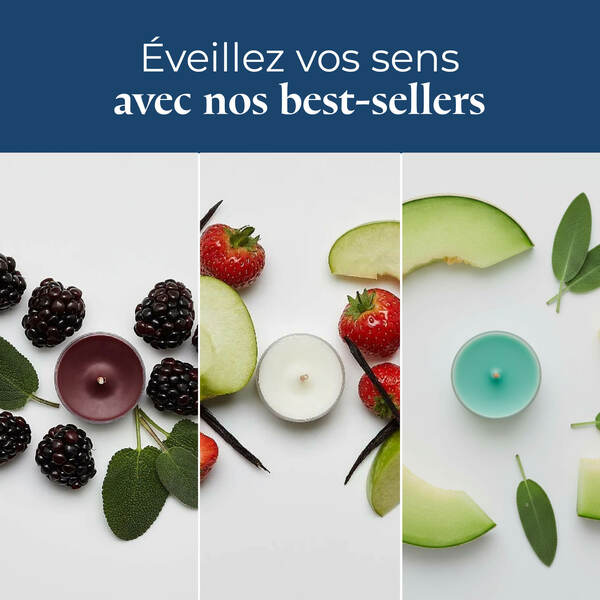 Pl az productimages tlsampler p84183 bestseller fr 5