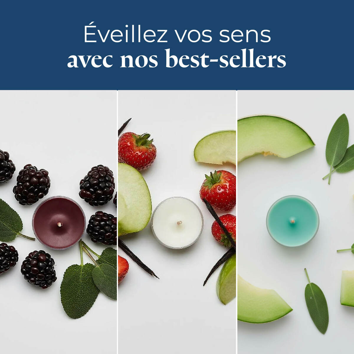 Pl az productimages tlsampler p84183 bestseller fr 5