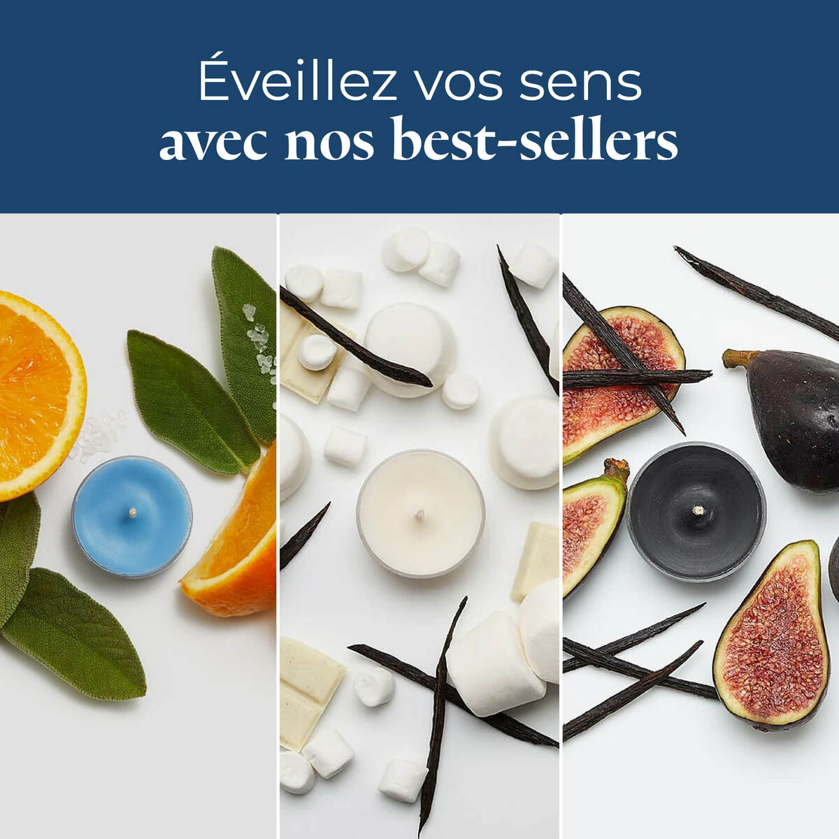 Pl az productimages tlsampler p84183 bestseller fr 6