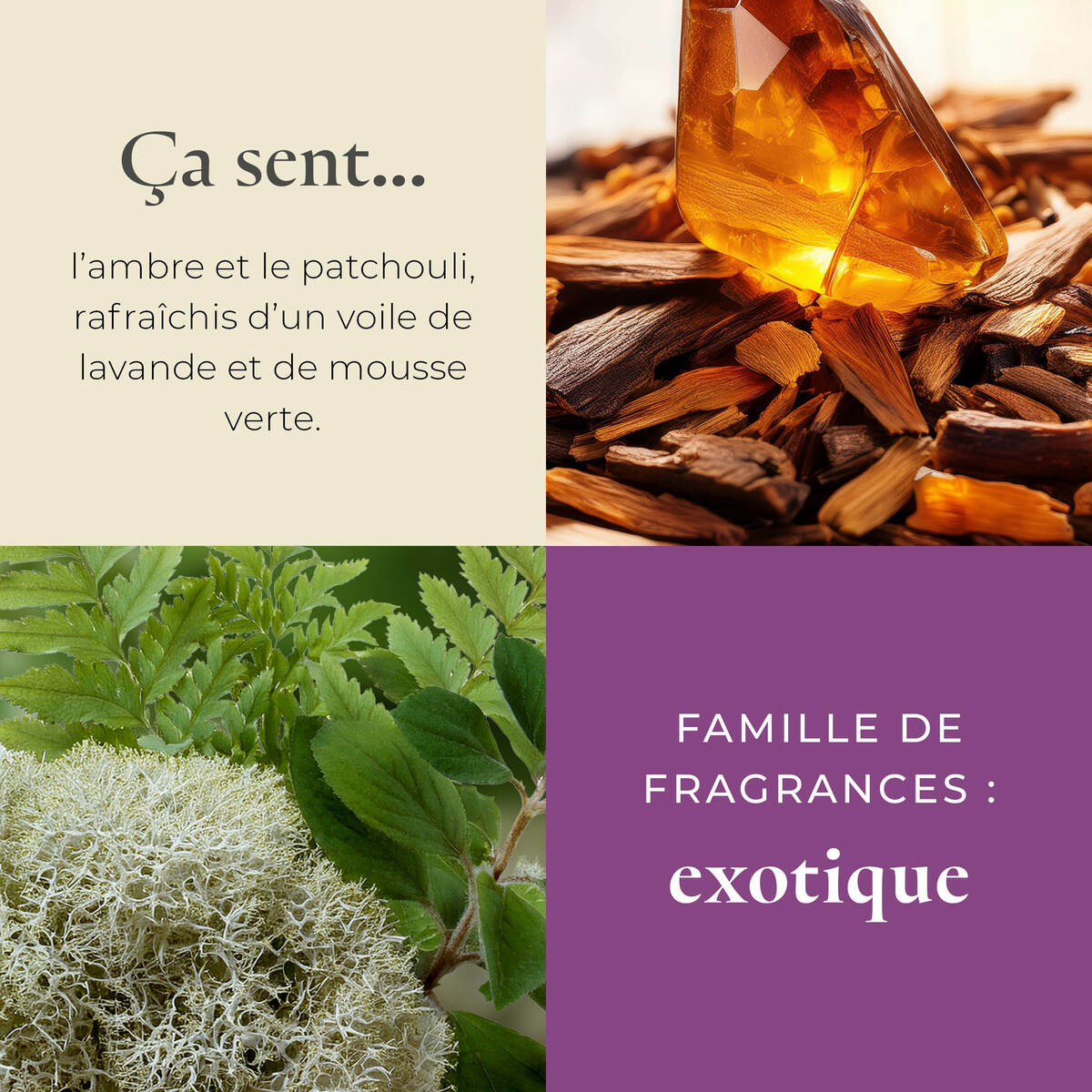 Pl az productimages escential tambotiwoods fr 3