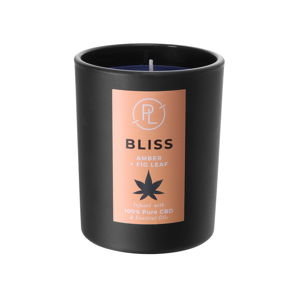 Pl spring26 neri g1102175