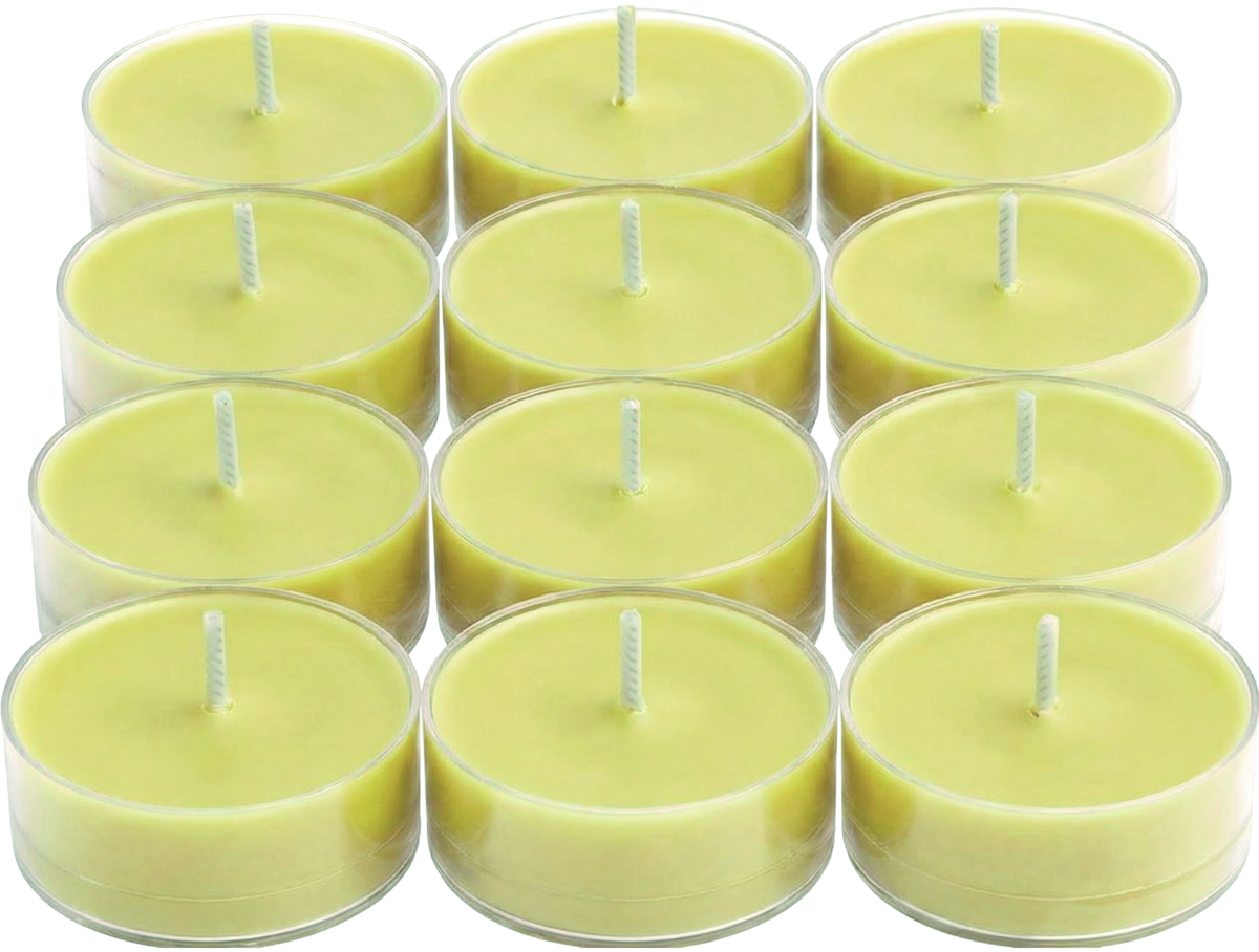 Pl v042184  wild ferns   fireflies universal tealight%c2%ae candles 12 pc