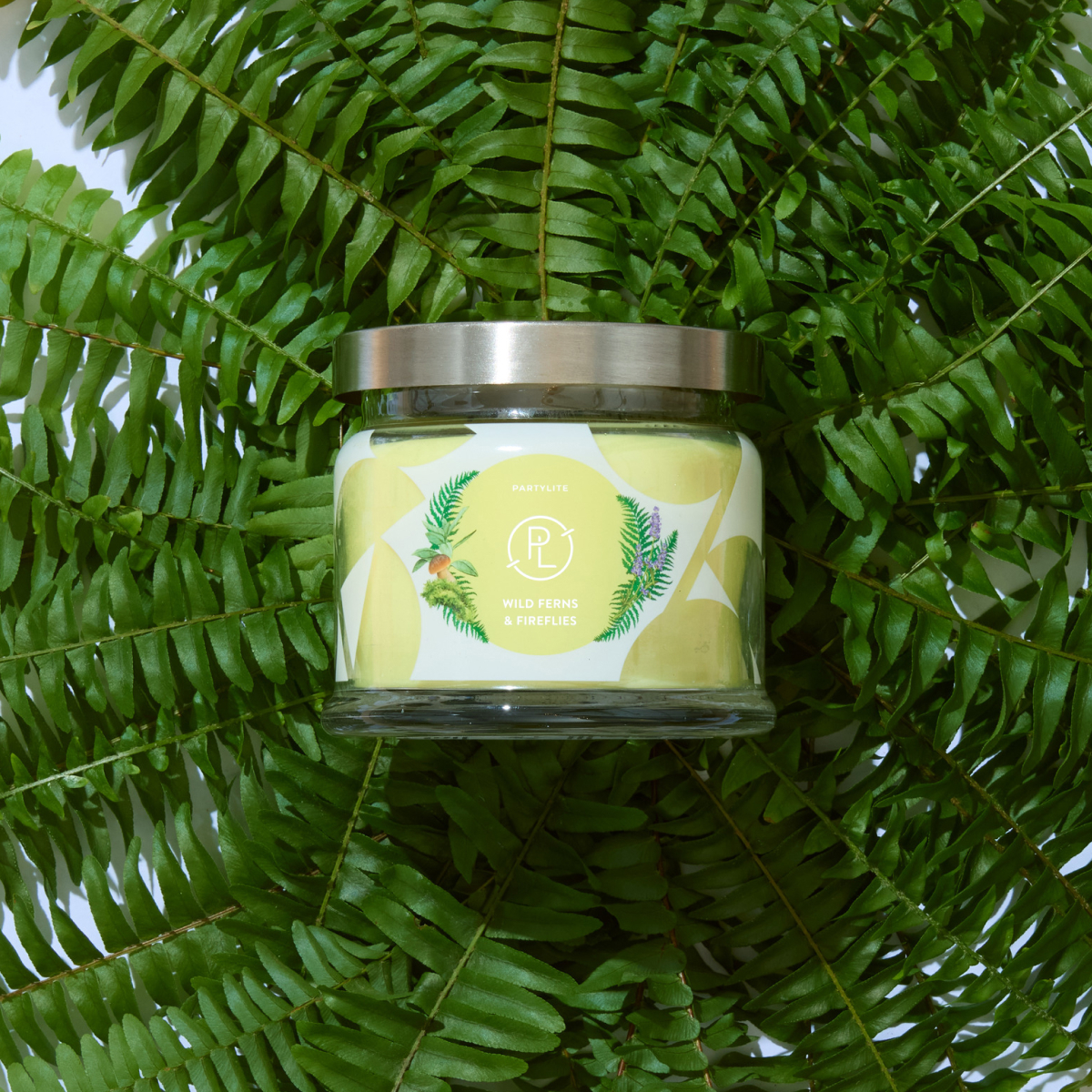 Wild ferns and fireflies g73 lifestyle