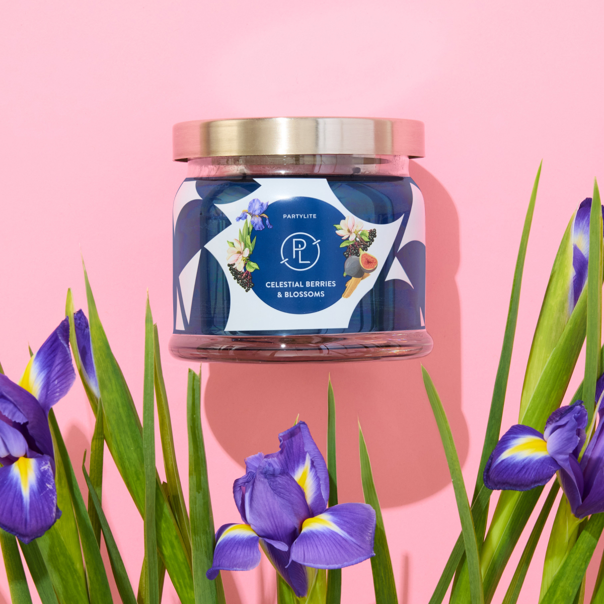 Celestial berries and blossoms g73