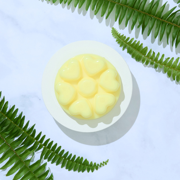 Wild ferns and fireflies melt