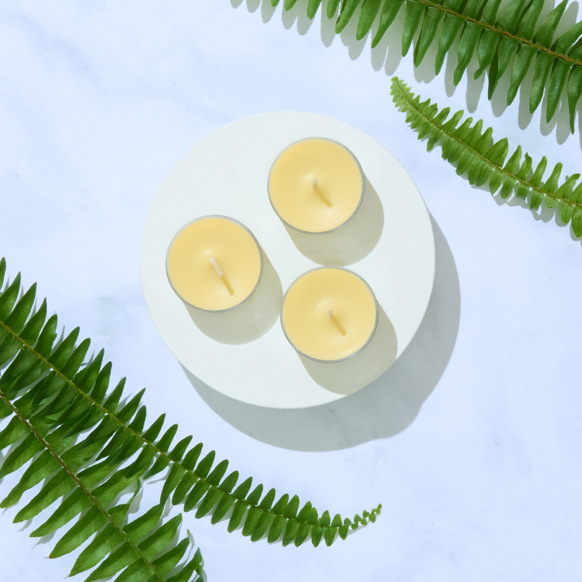 Wild ferns and fireflies tealights