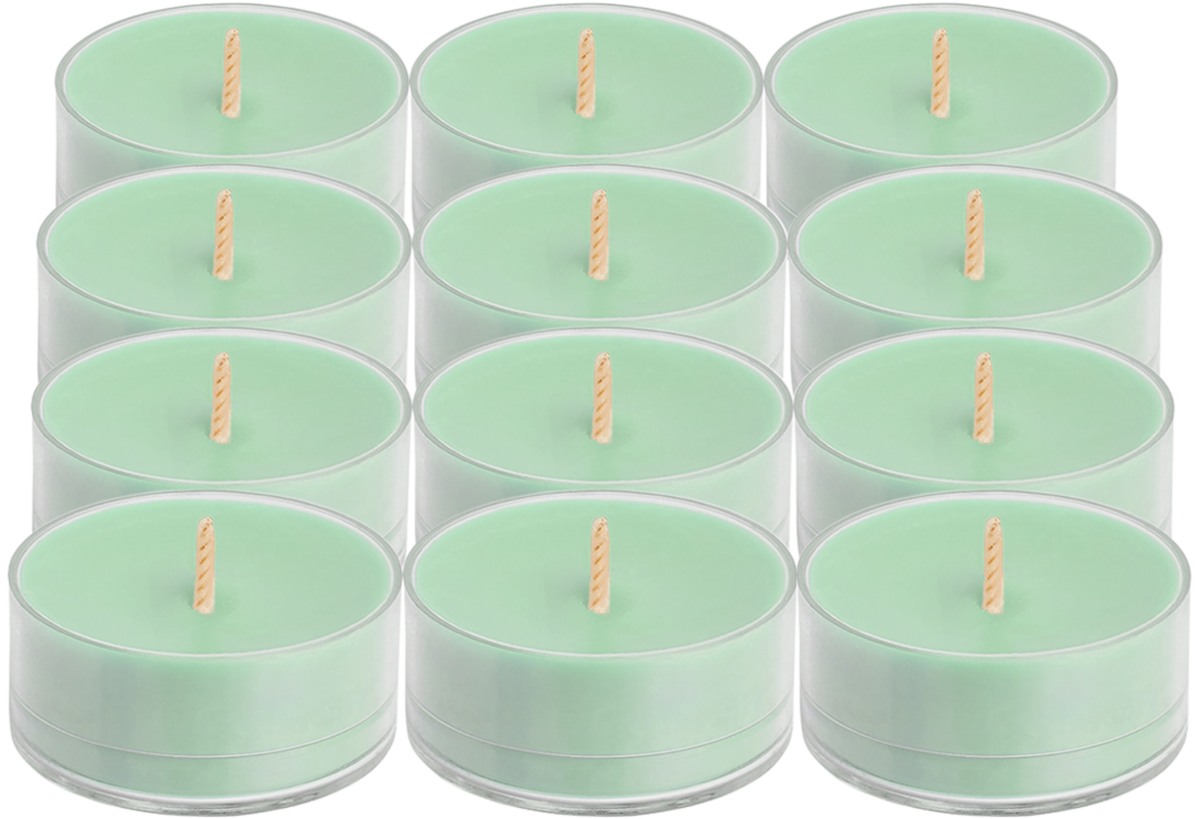 Pl v042143 seagrass eucalyptus 12pc silo