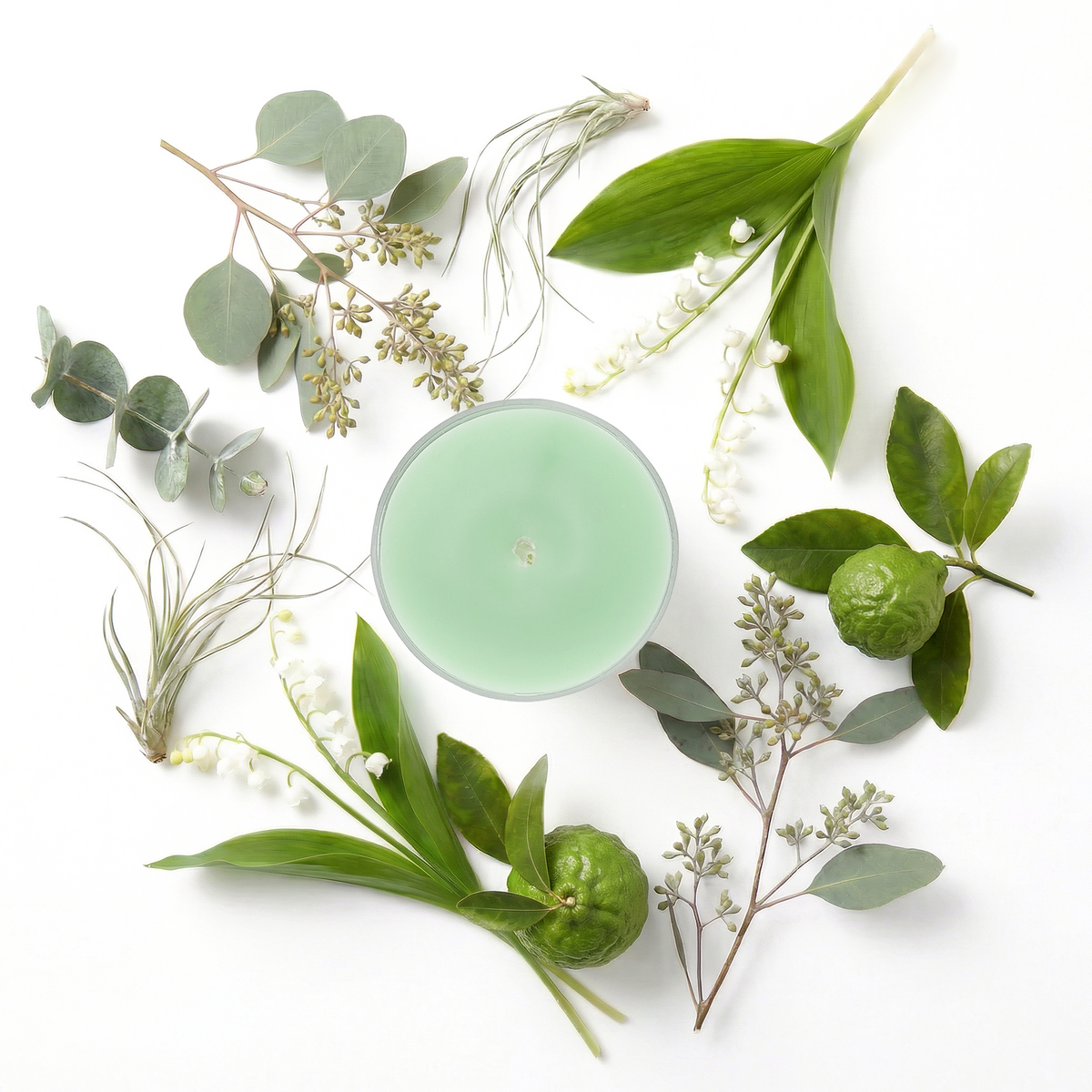 Pl v042143 seagrass eucalyptus bulk tealights miniscents