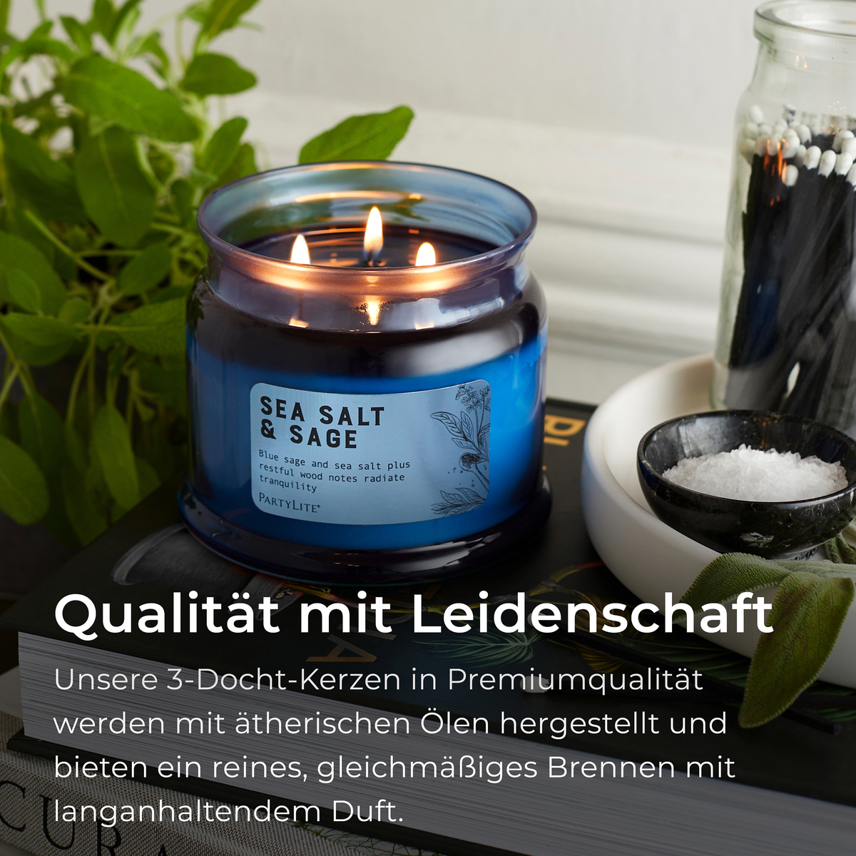 B0dx2d4l21 g73s2029 6 seasalt sage de