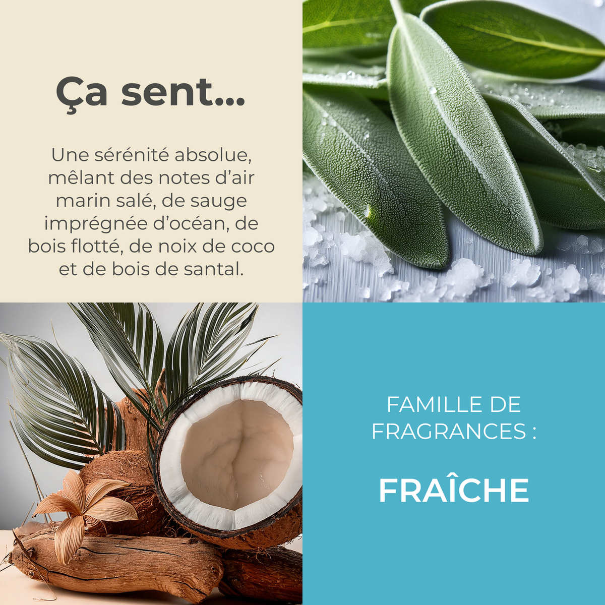 B0dx2d4l21 g73s2029 3 seasalt sage fr %282%29