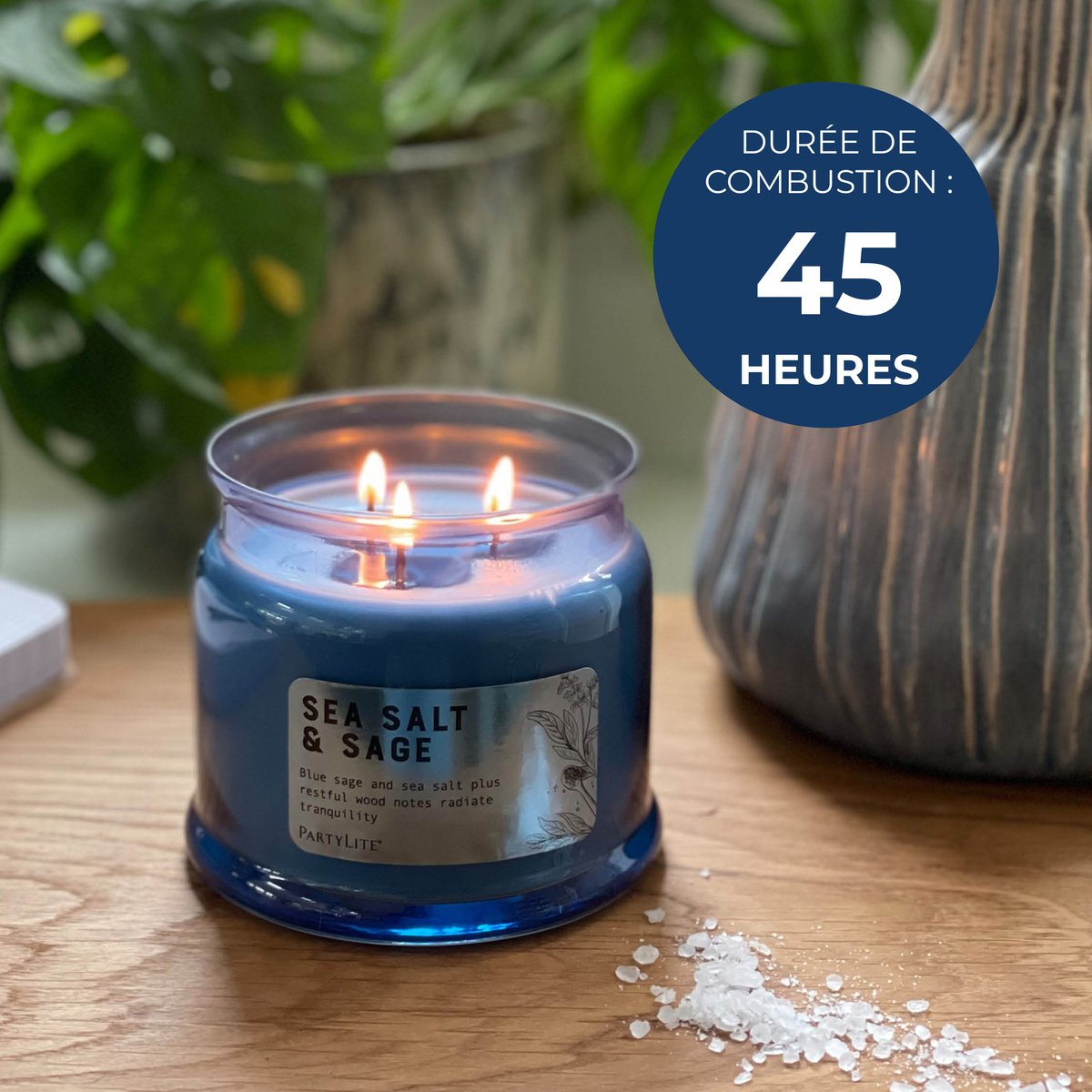 B0dx2d4l21 g73s2029 5 seasalt sage fr %281%29