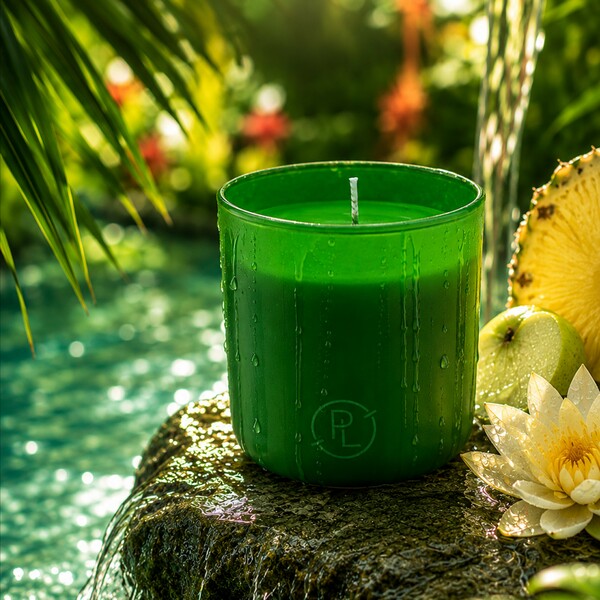 Su26 palm paradise g10y2194 lifestyle a