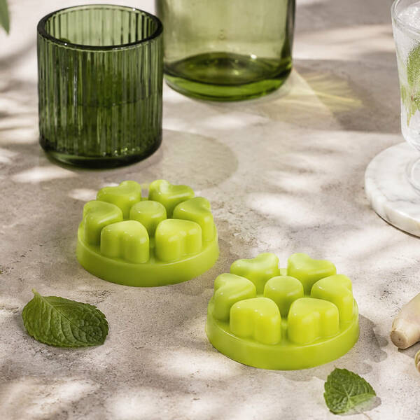 Mint citronella melts %281%29