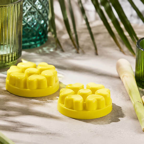 Wild lemongrass citronella melts %281%29