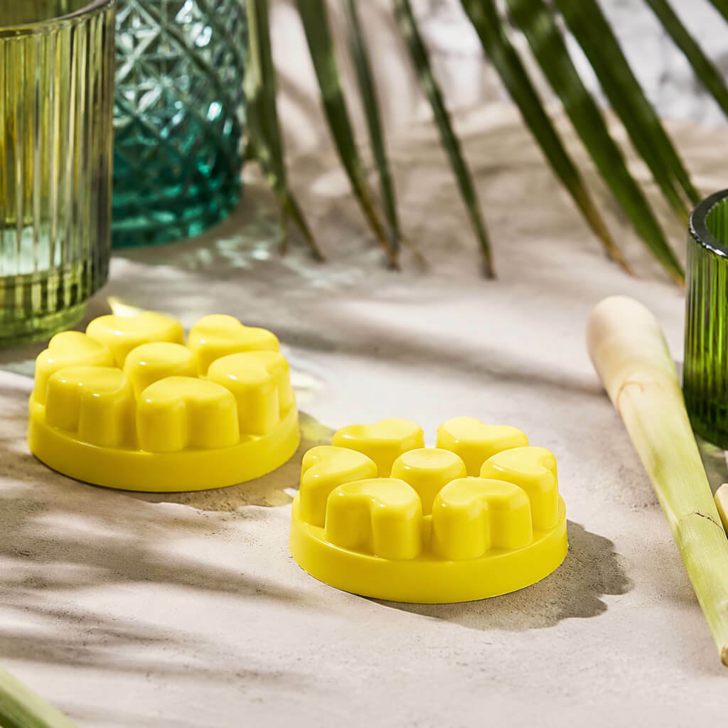 Wild lemongrass citronella melts %281%29